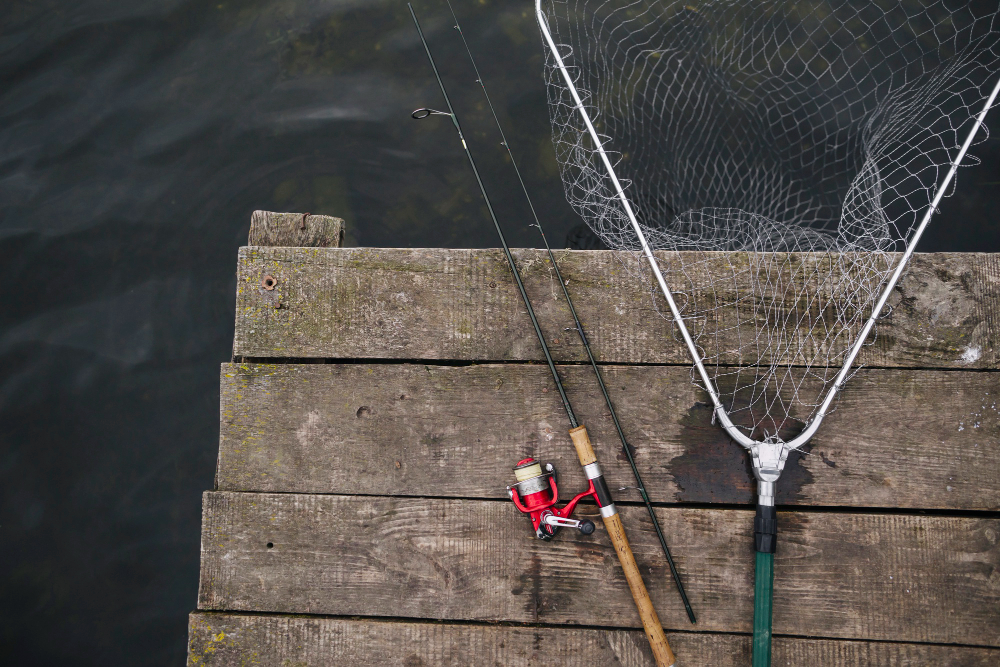 pesca a ledgering