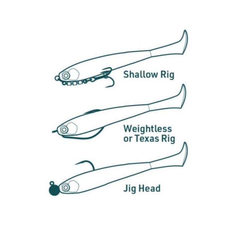 Fiiish Pit Swimmer 125 - immagine 2