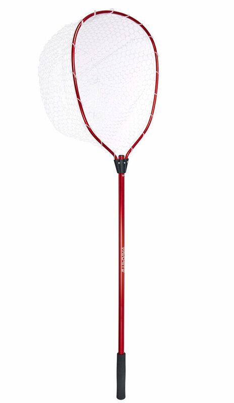 FAVORITE Guadino Arena